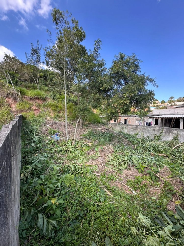 Terreno - Venda - Vila Pomar - Mogi das Cruzes - SP